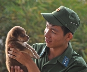 Đôi bạn trên đỉnh Núi Lớn, Vũng Tàu