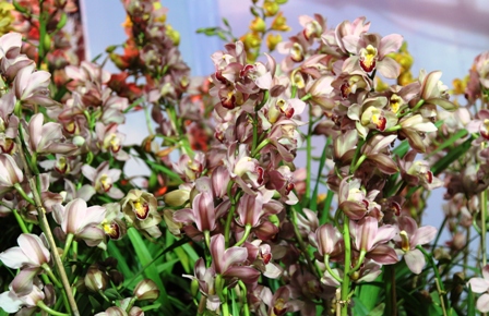 Sắc vàng rực rỡ tết SG
