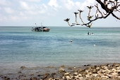 Tuần tra trên biển