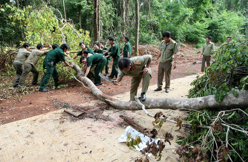 Gian nan giữa mùa mưa - 2