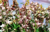 Sắc vàng rực rỡ tết SG