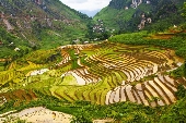 Hà Giang