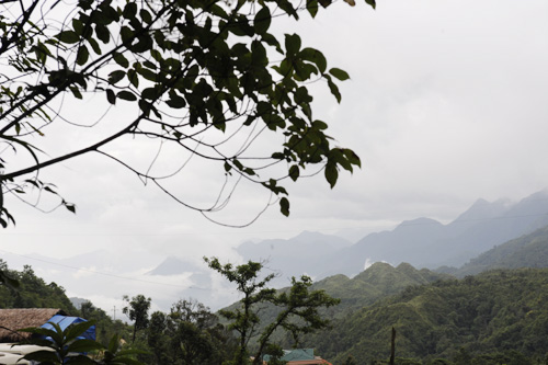Sapa_06