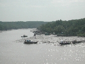 Rừng ngập mặn Cần Giờ