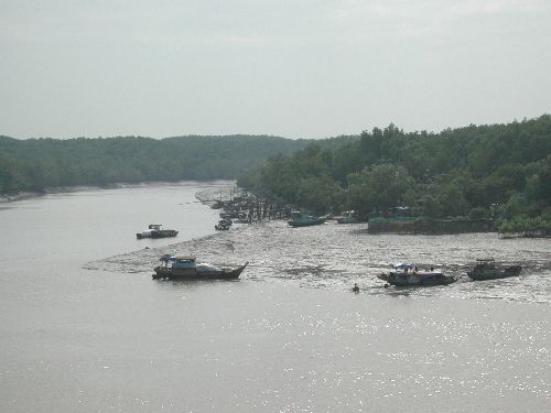 Rừng ngập mặn Cần Giờ