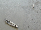 M­ưu sinh