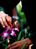 Đôi tay chiến sĩ dân quân.