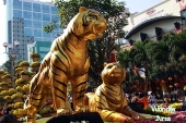 Năm Canh Dần