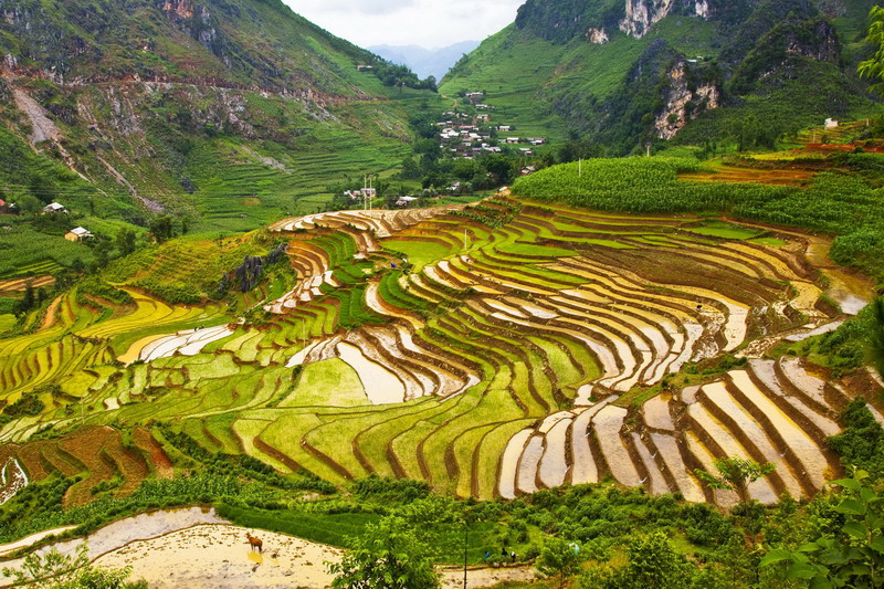 Hà Giang
