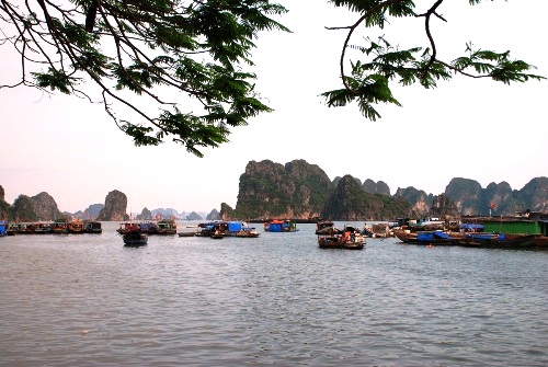 Chiều Hạ Long