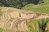 Sapa_01