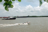 Tuần tra 