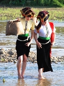 Qua suối