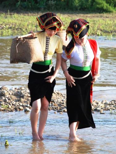 Qua suối