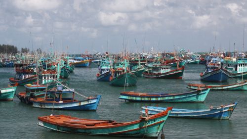 Cảng cá An Thới