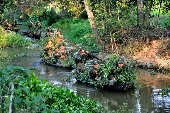 Hành quân trên kênh rạch.